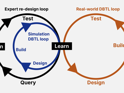Three looping circles showing stages of the design-build-test-learn loop