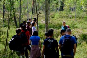 Group of people standing in the woods amongst tall grass